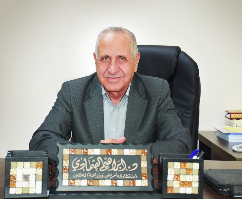 Dr. Ibrahim AlSamadi